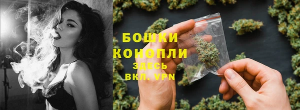 спиды Бородино