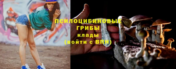 прущая мука Бронницы