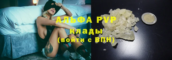 спиды Бородино