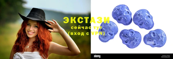 спиды Богданович
