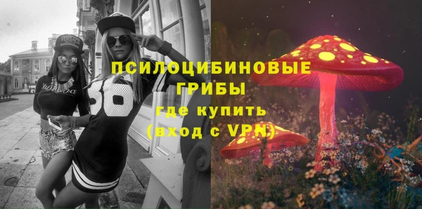 спиды Бородино