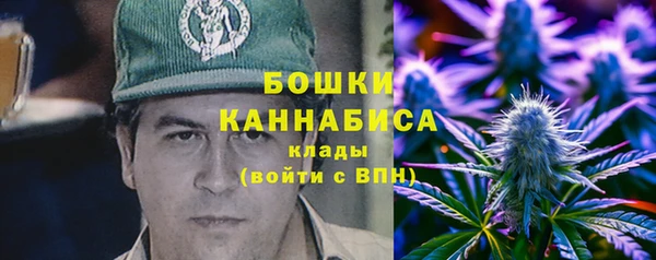спиды Бородино